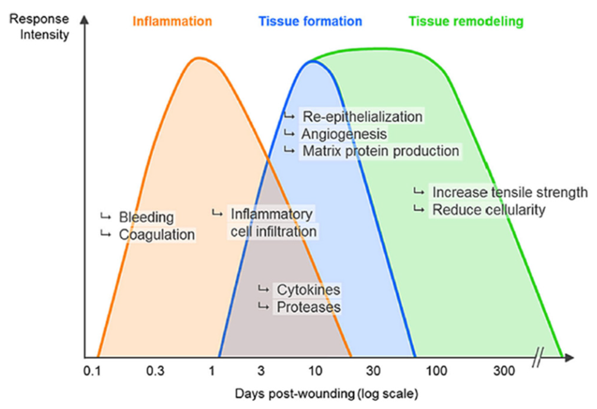 Diabetology 04 00026 g002 Diabetology 04 00026 g002