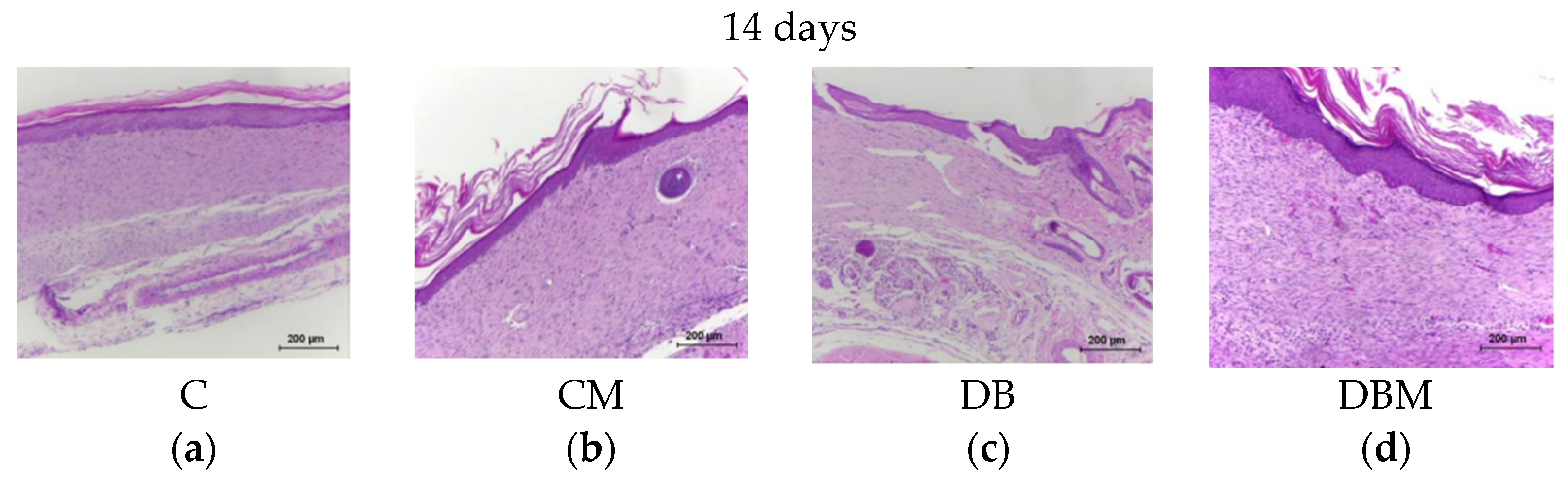Diabetology 04 00026 g004 Diabetology 04 00026 g004