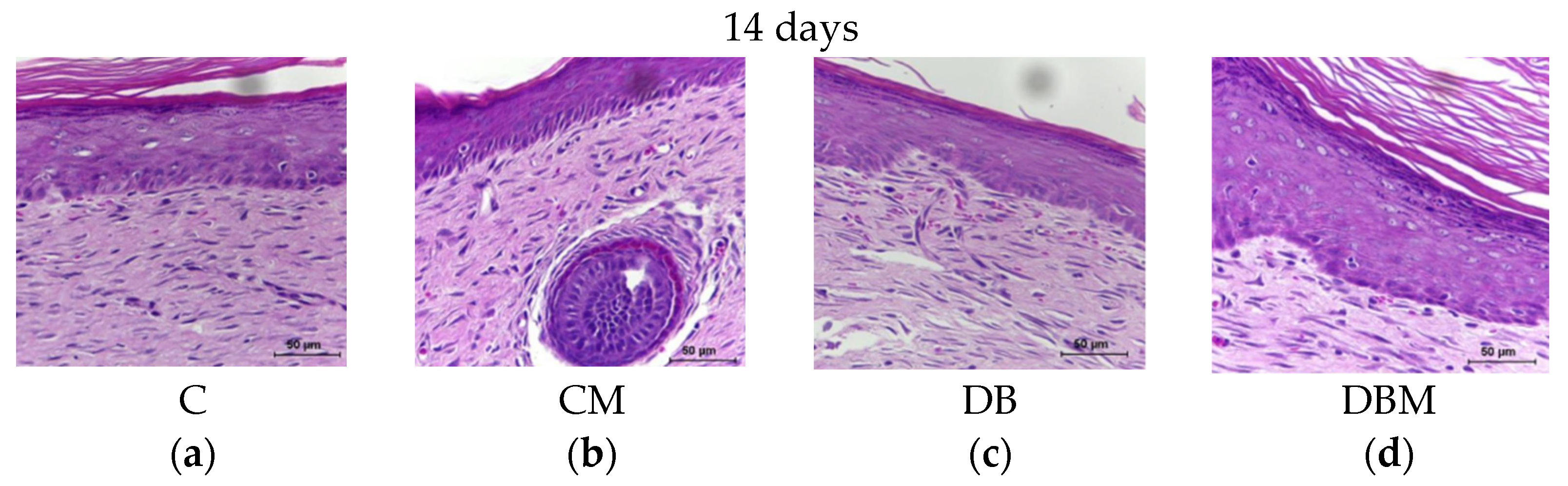 Diabetology 04 00026 g007 Diabetology 04 00026 g007
