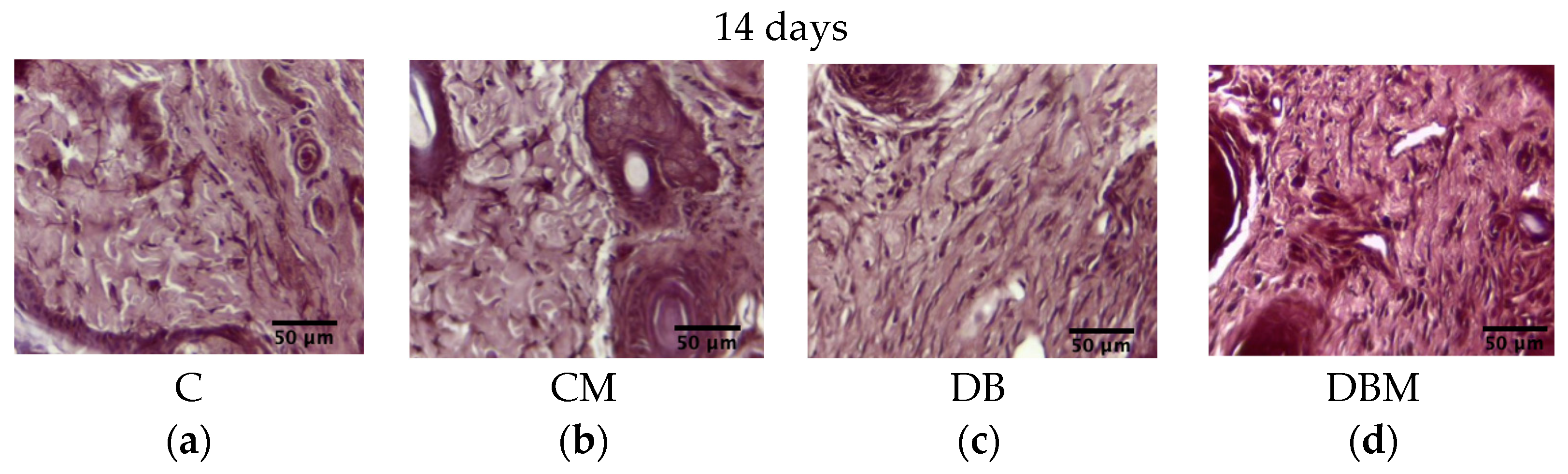 Diabetology 04 00026 g009 Diabetology 04 00026 g009