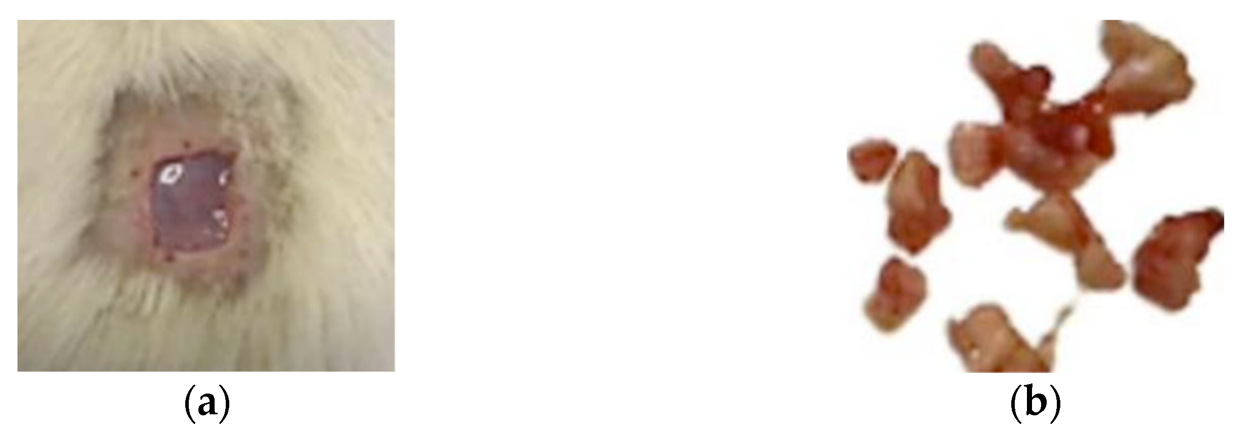 Diabetology 04 00026 g015 Diabetology 04 00026 g015