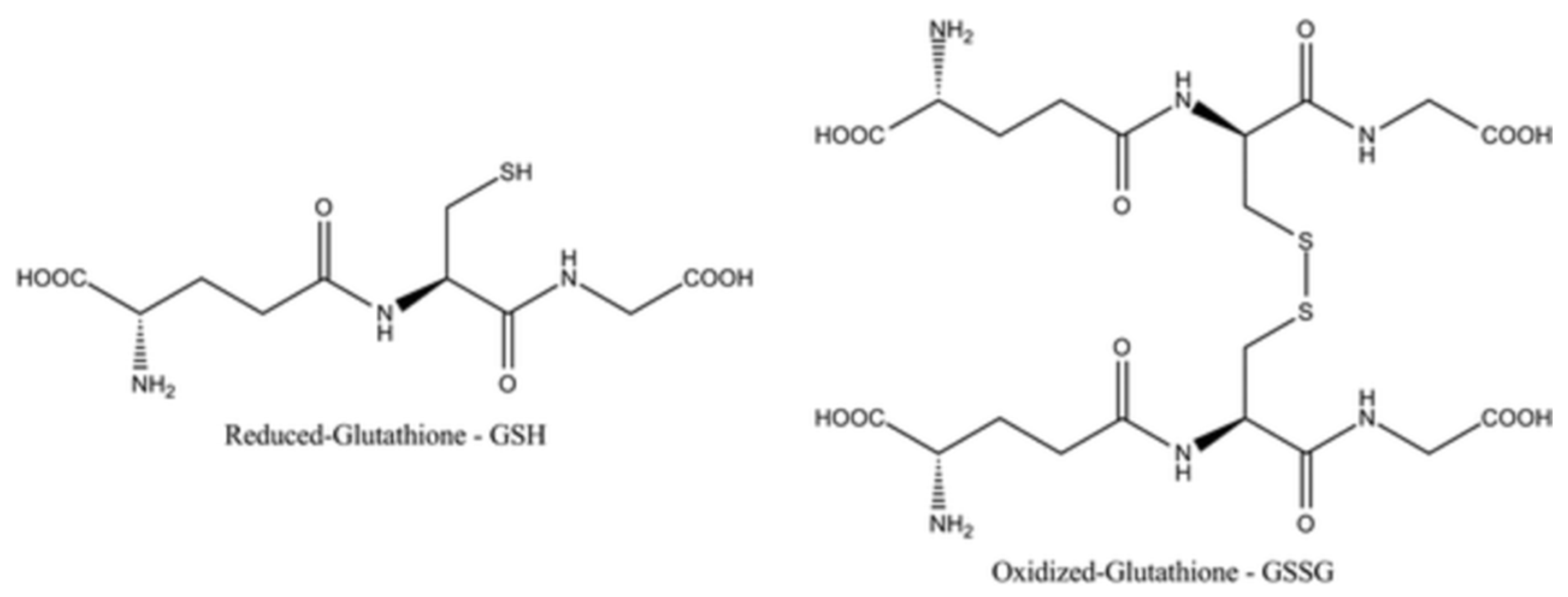 Diabetology 04 00026 g018 Diabetology 04 00026 g018