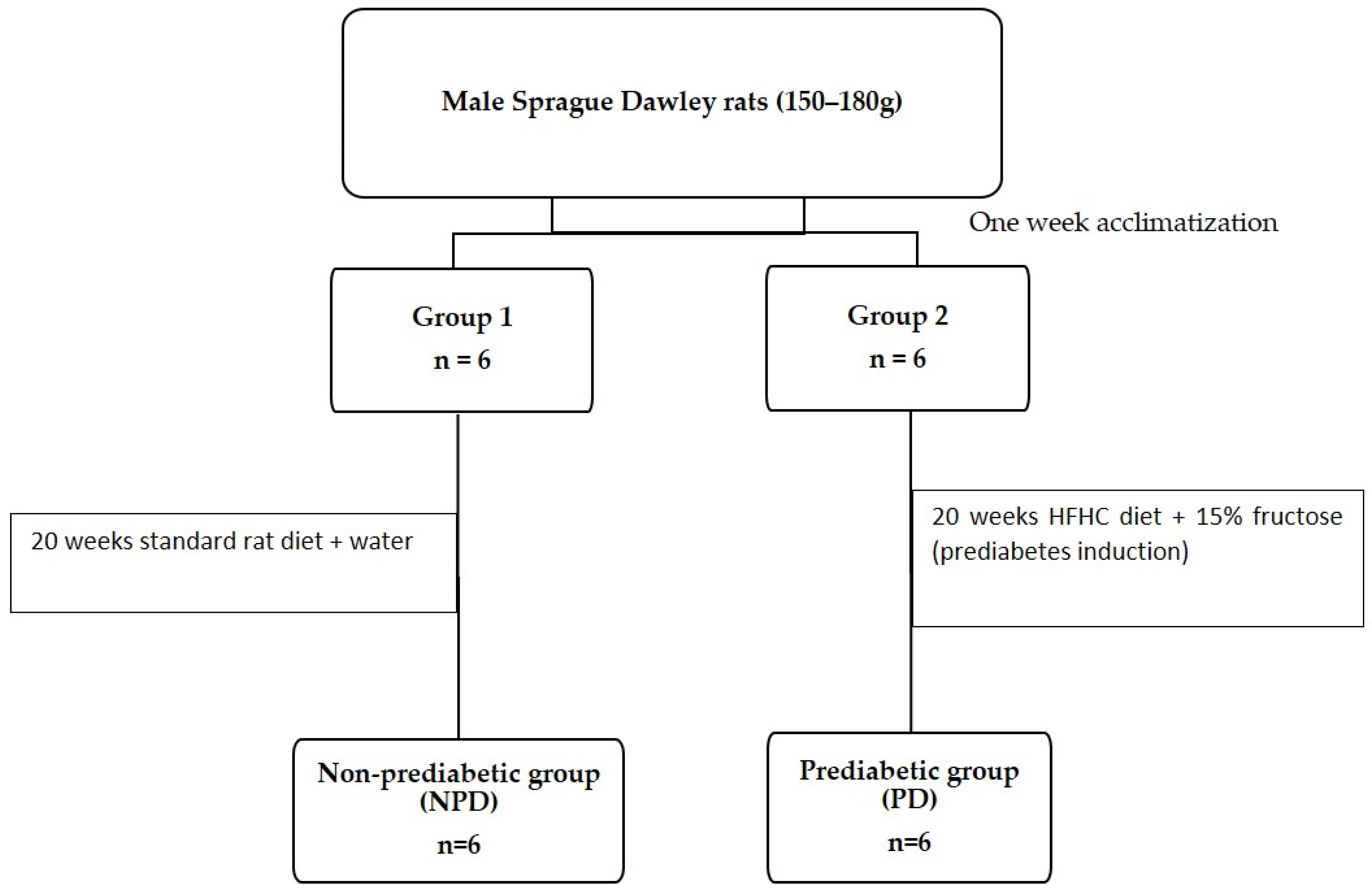 Diabetology 04 00034 g001