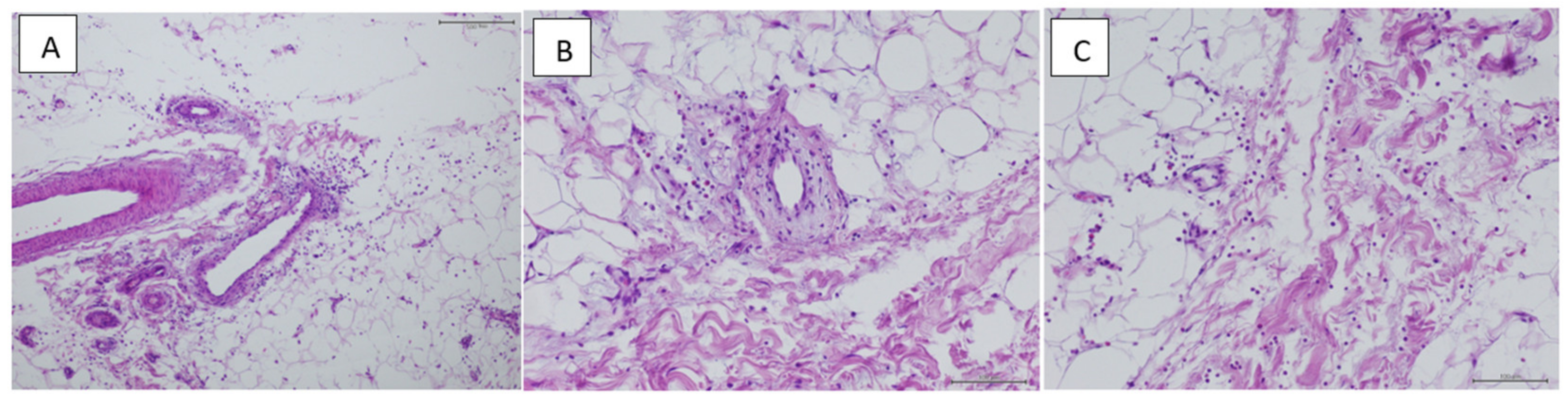 Diabetology 05 00053 g005