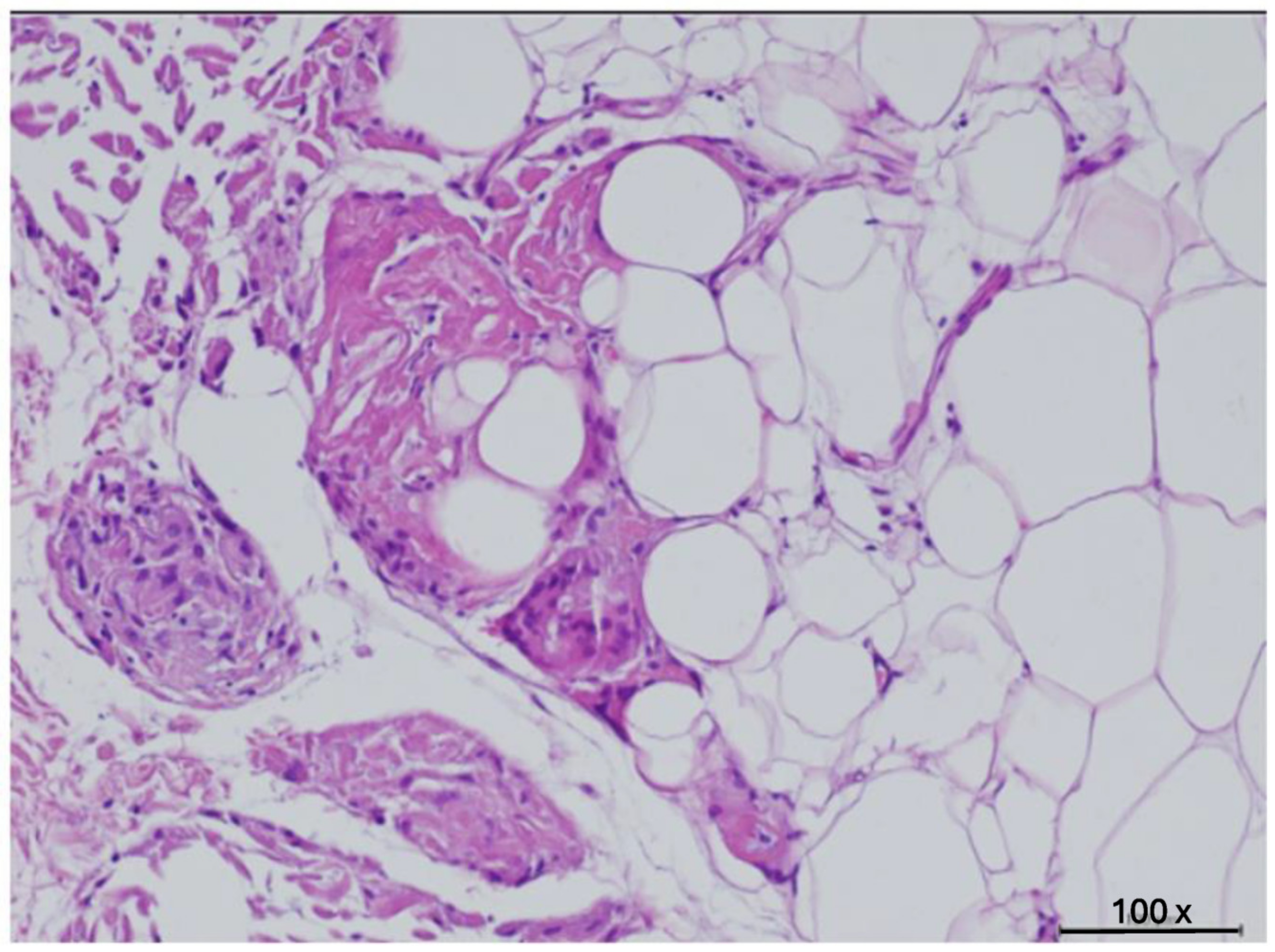 Diabetology 05 00053 g007