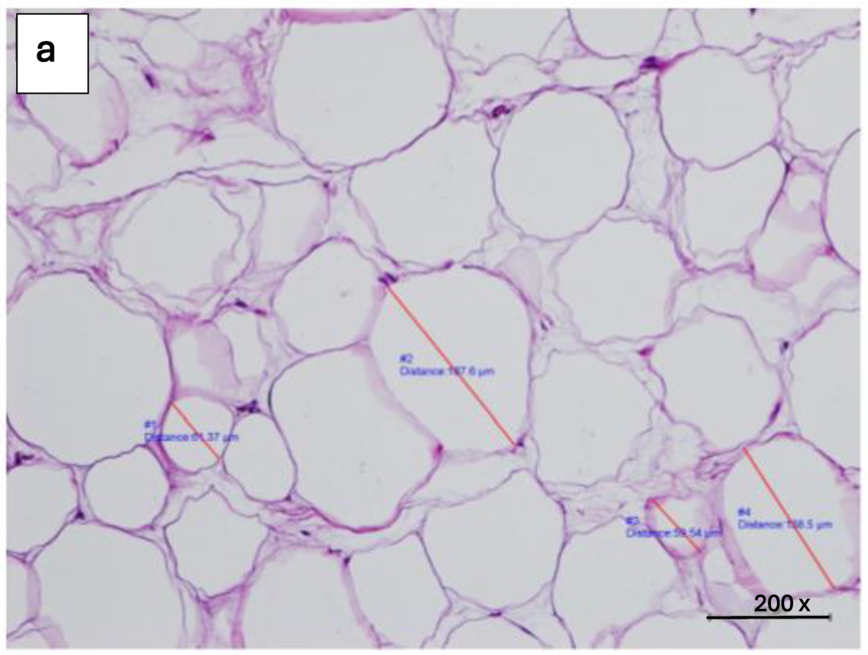 Diabetology 05 00053 g008a
