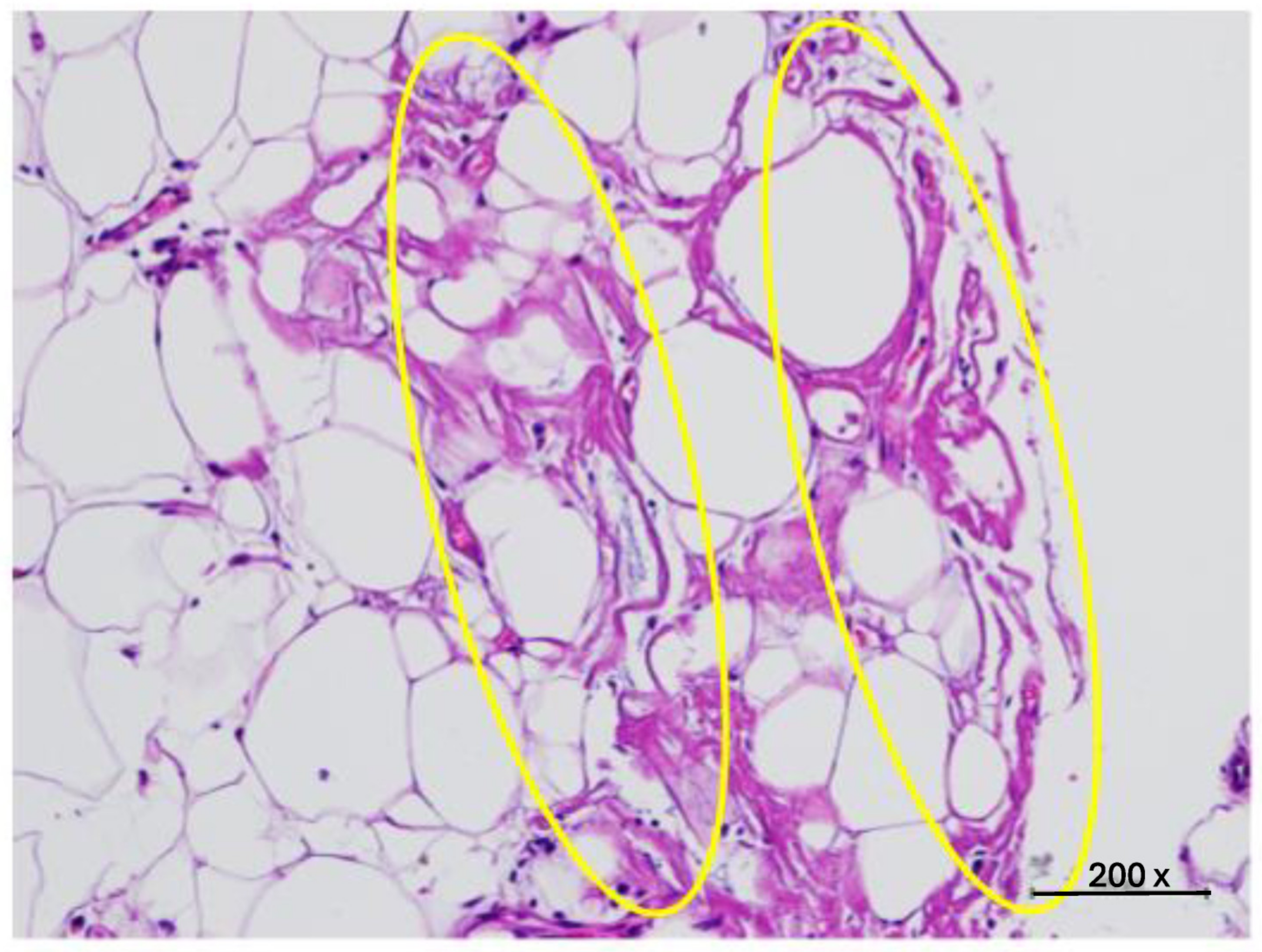 Diabetology 05 00053 g009