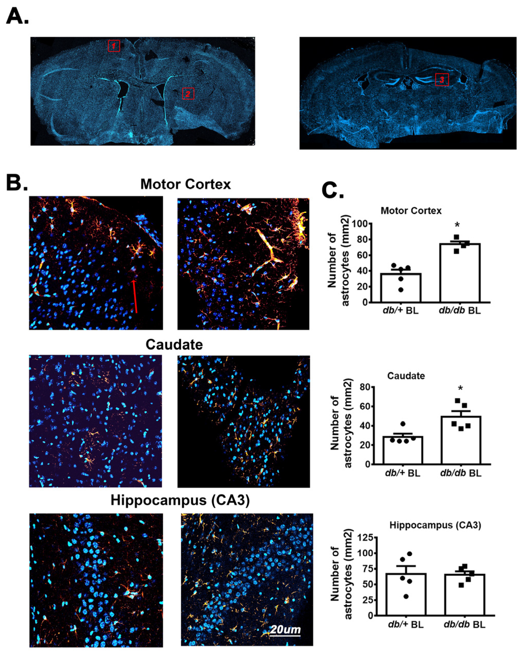 Diabetology 06 00016 g003