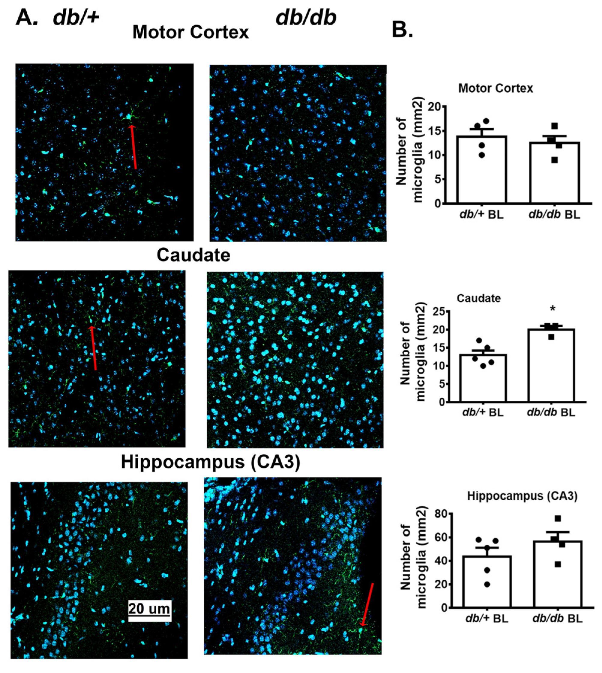 Diabetology 06 00016 g004