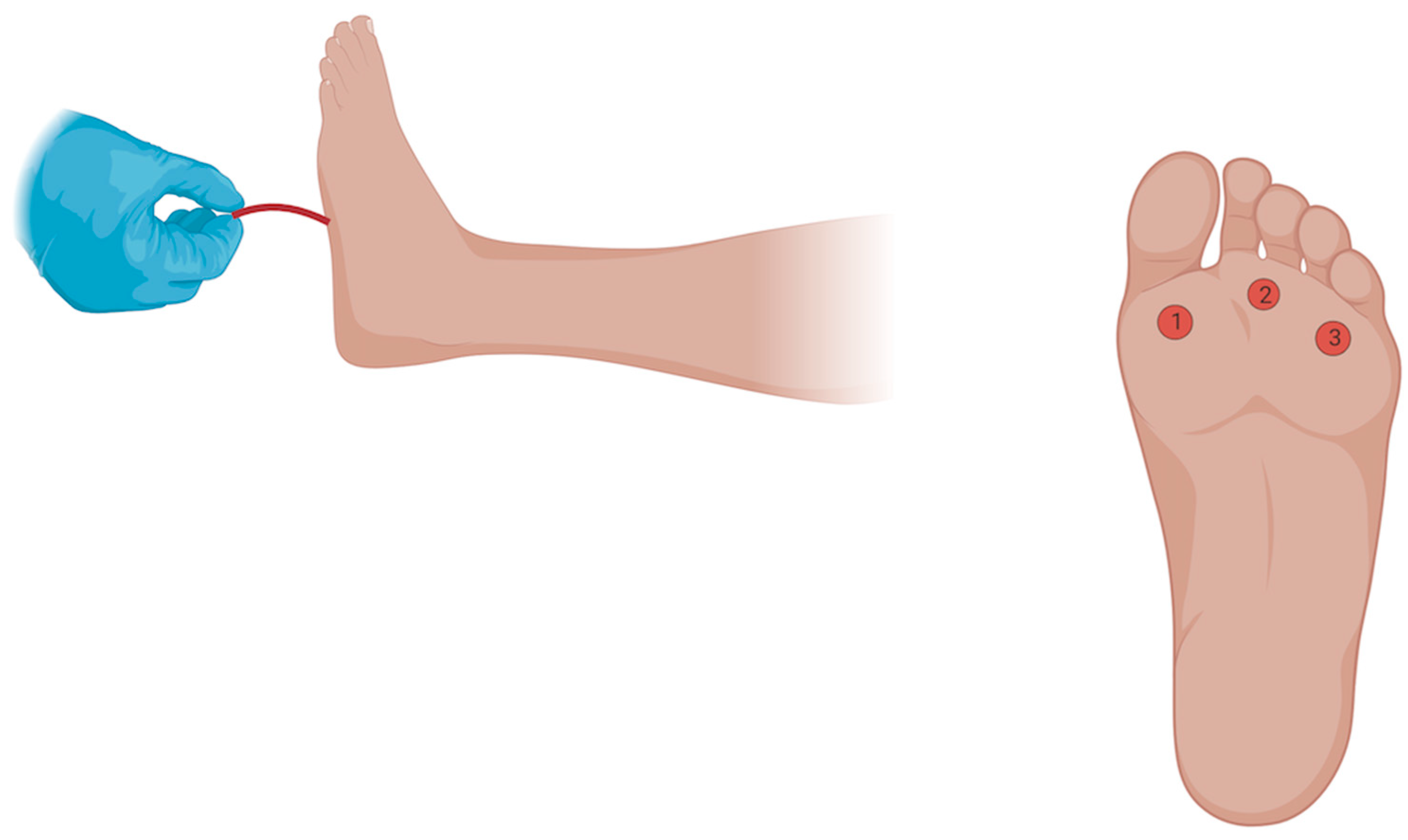 Diabetology 06 00024 g001