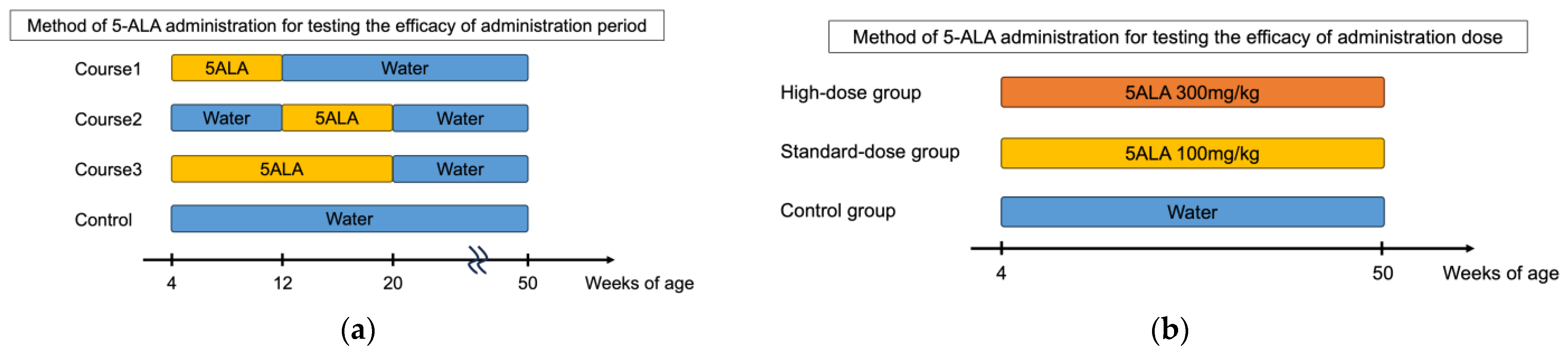 Diabetology 06 00062 g001a