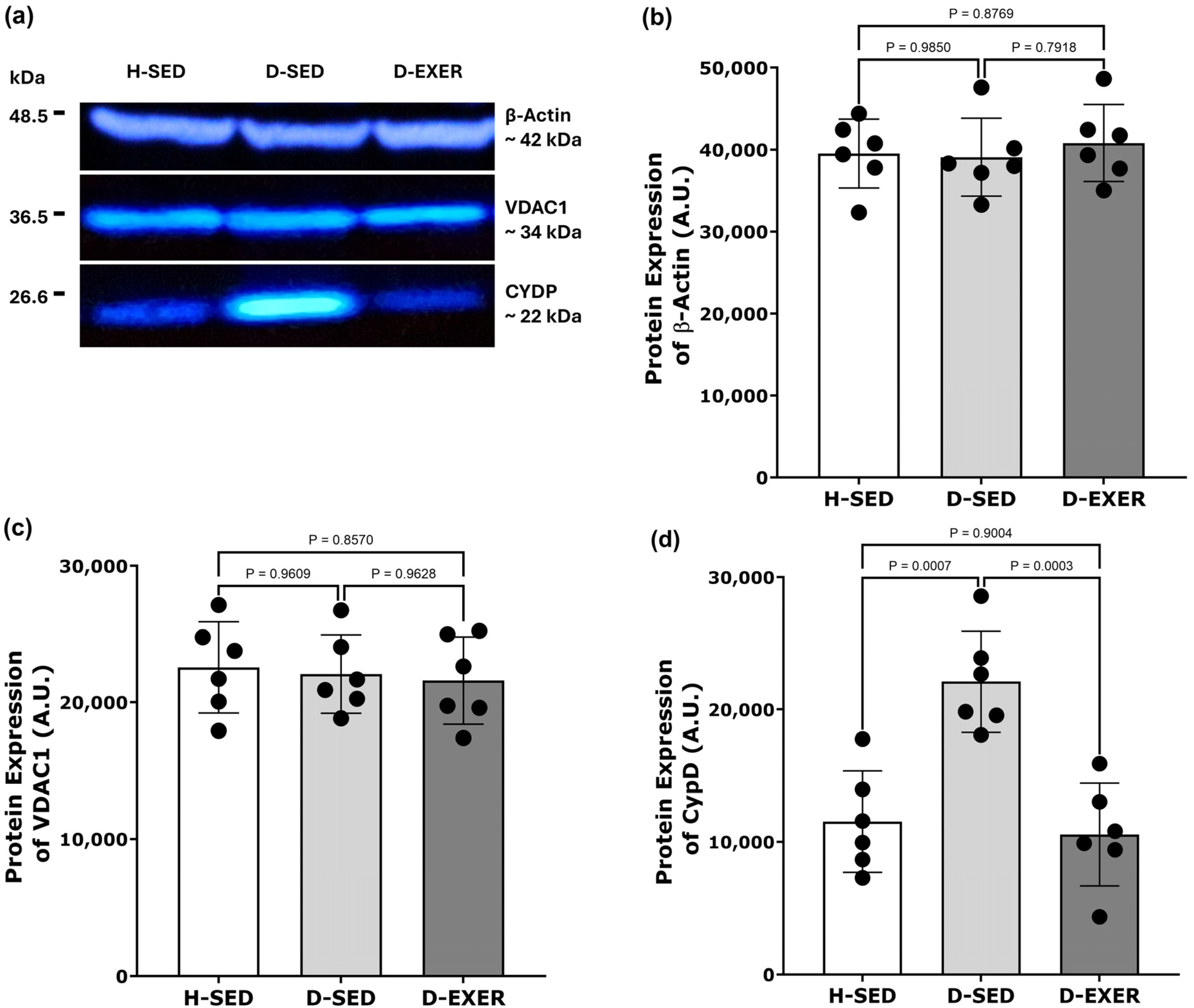 Diabetology 07 00018 g005