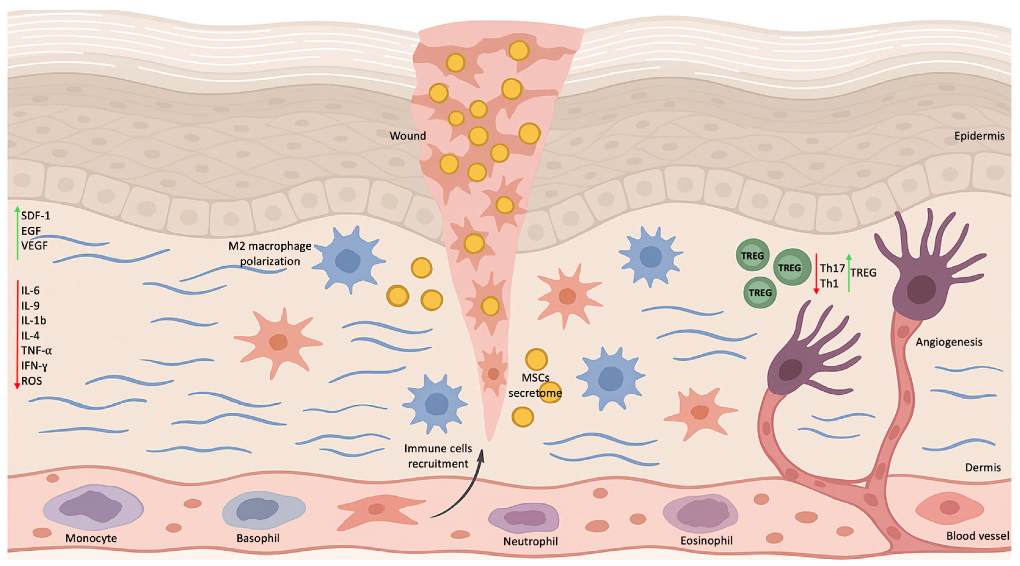 Diabetology 07 00035 g001 Diabetology 07 00035 g001