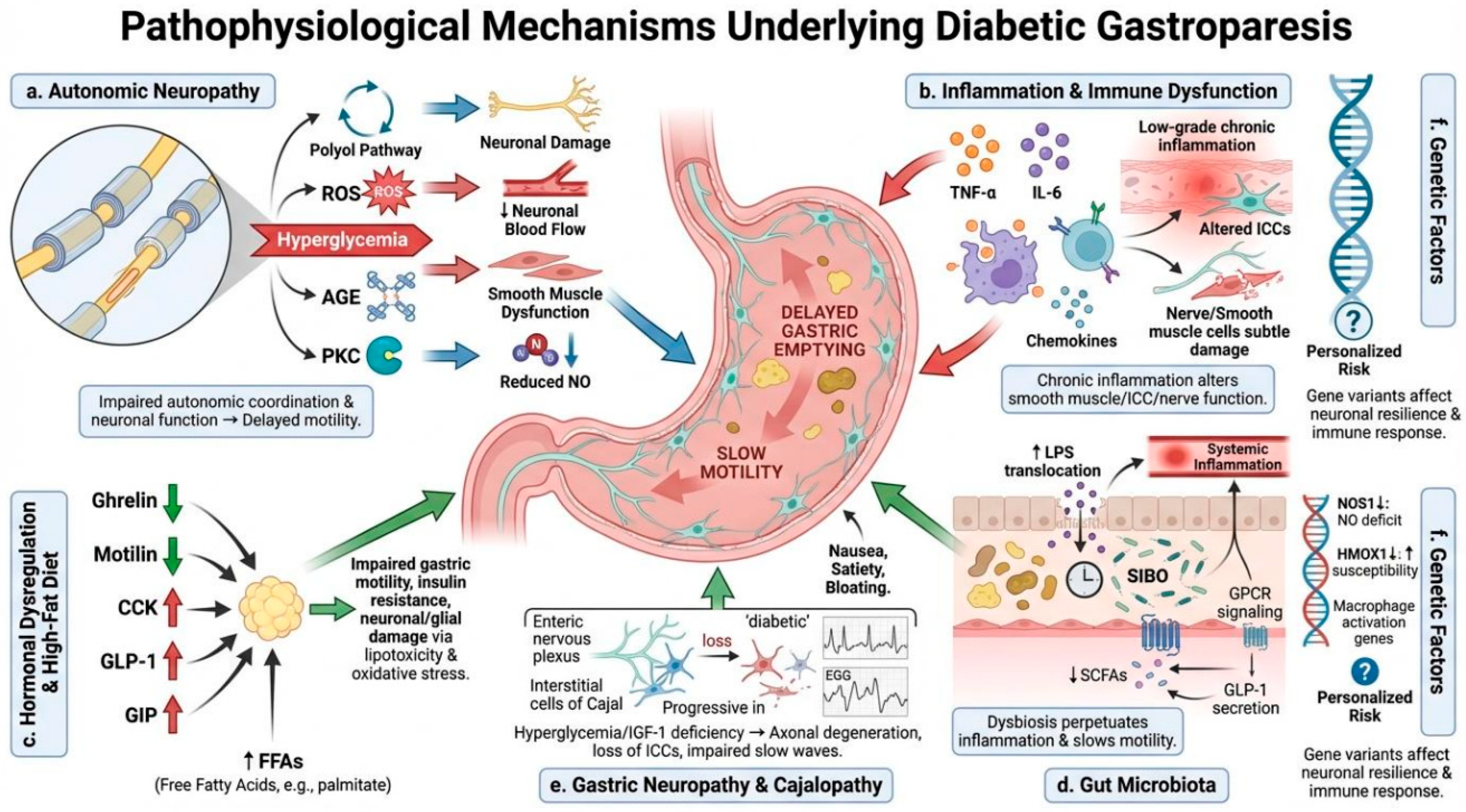 Diabetology 07 00093 g002 Diabetology 07 00093 g002