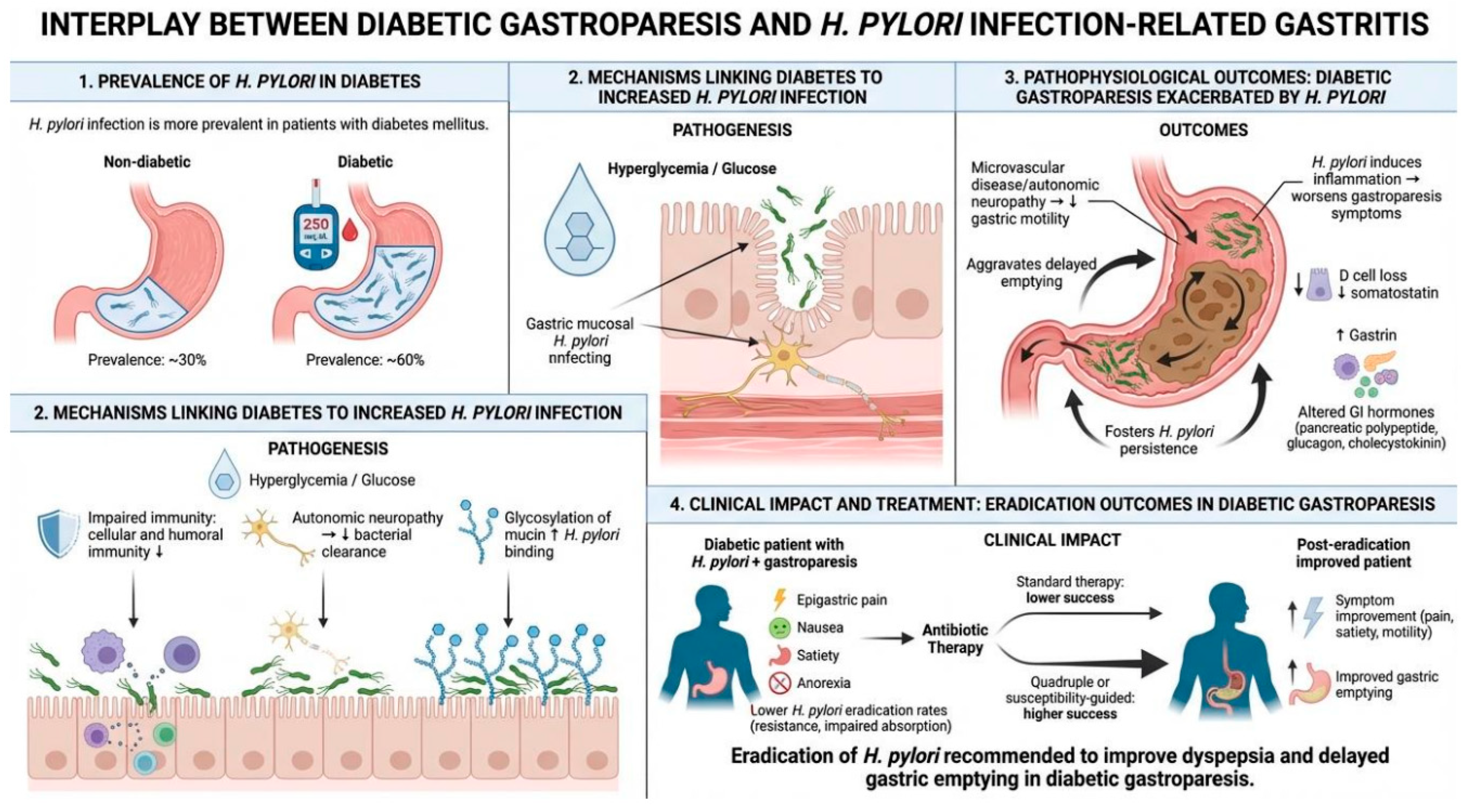 Diabetology 07 00093 g003 Diabetology 07 00093 g003