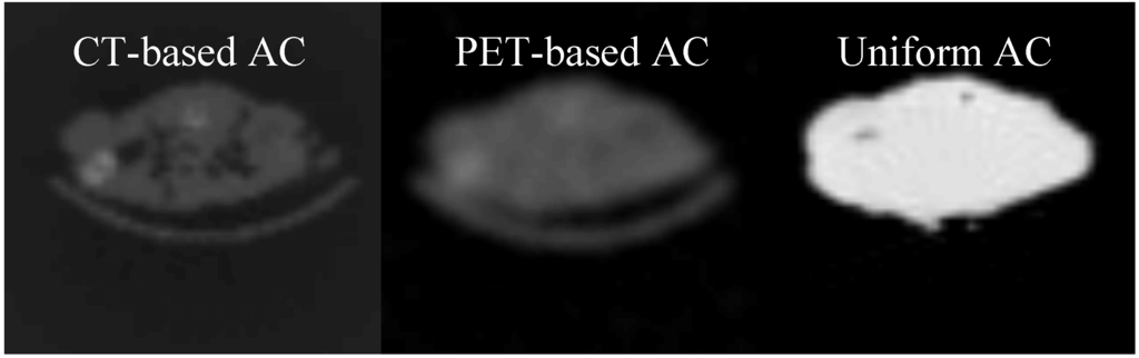 Diagnostics 02 00042 g003 1024