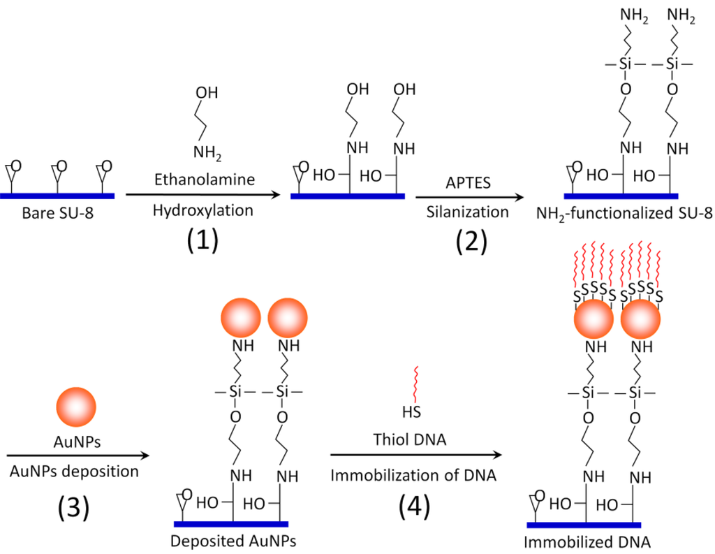 Diagnostics 02 00072 g004 1024