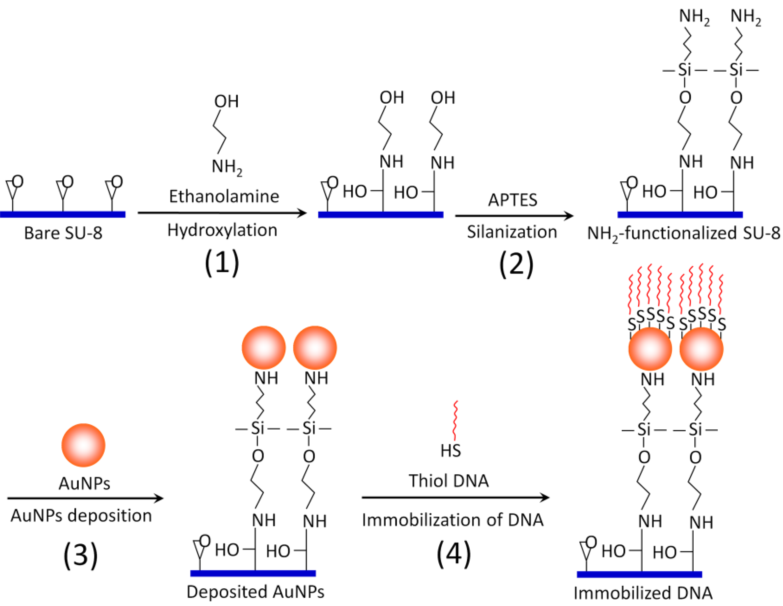 Diagnostics 02 00072 g004