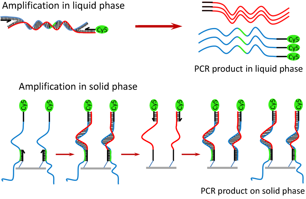 Diagnostics 02 00072 g005 1024