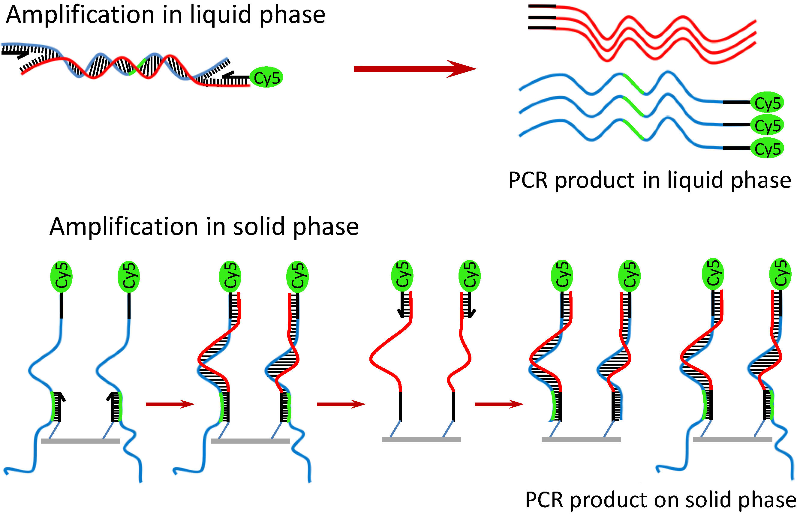 Diagnostics 02 00072 g005