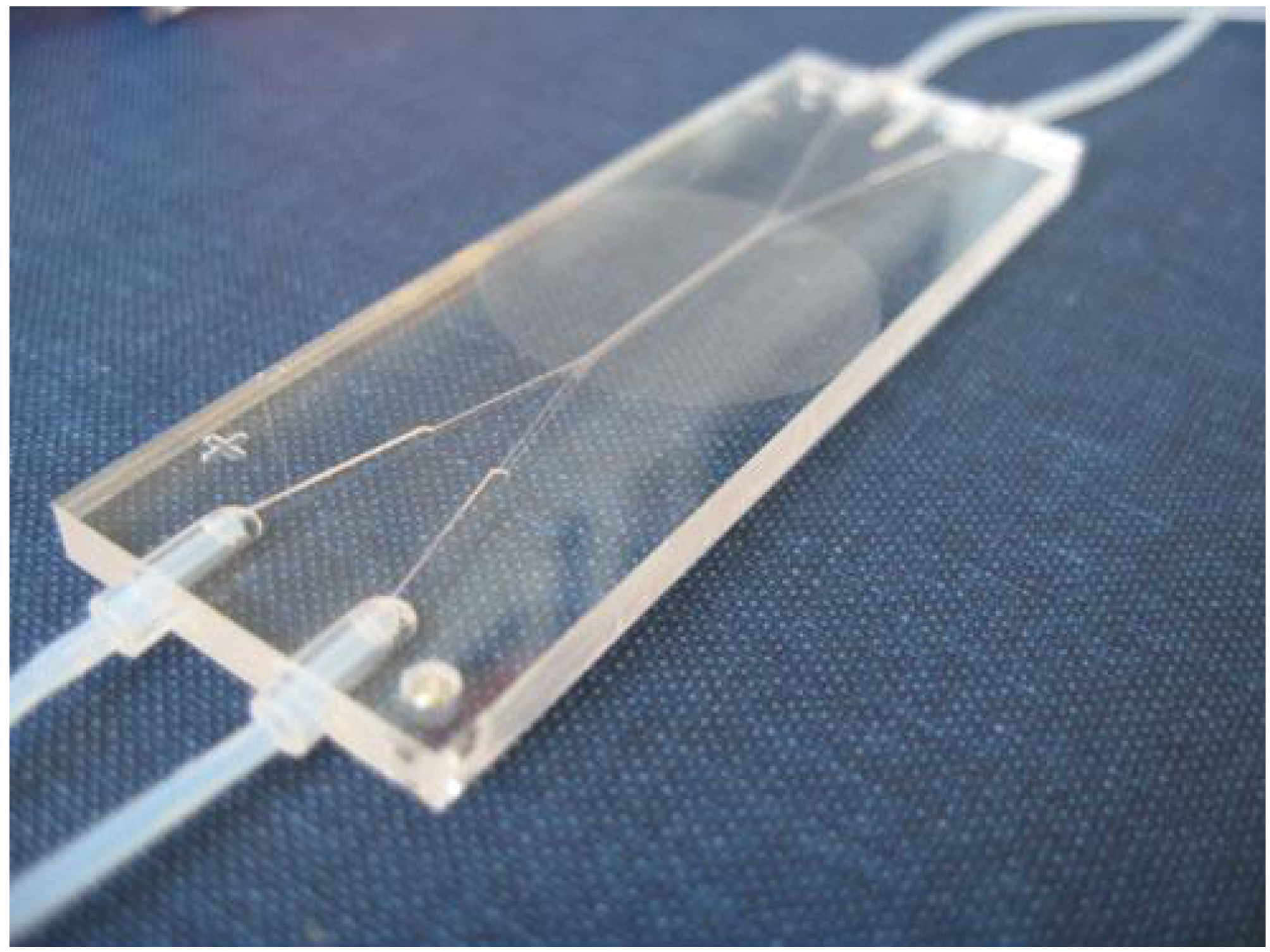 Diagnostics 02 00083 g005