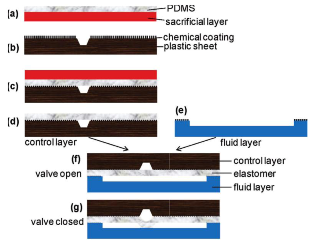 Diagnostics 03 00033 g009 1024