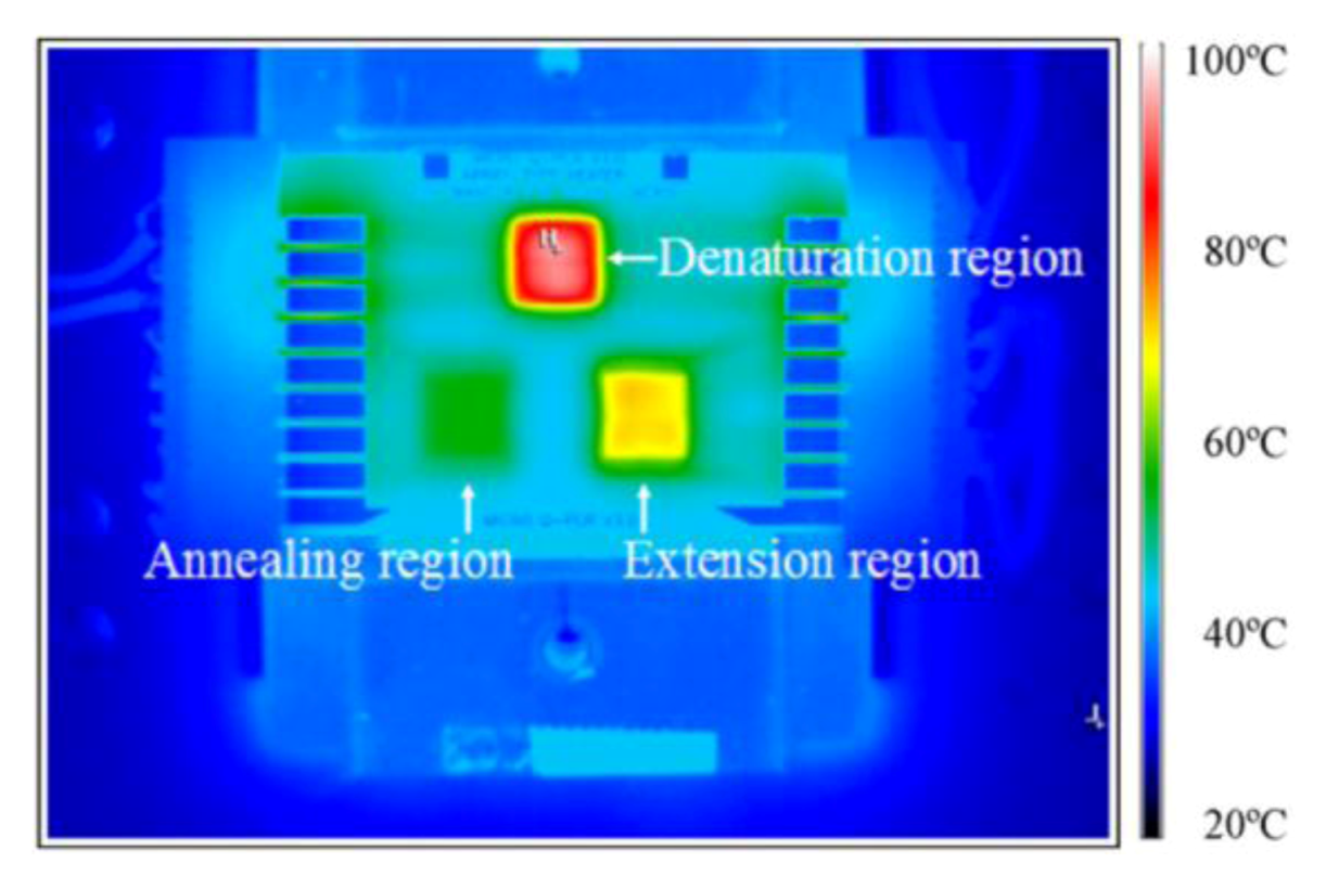 Diagnostics 03 00033 g013