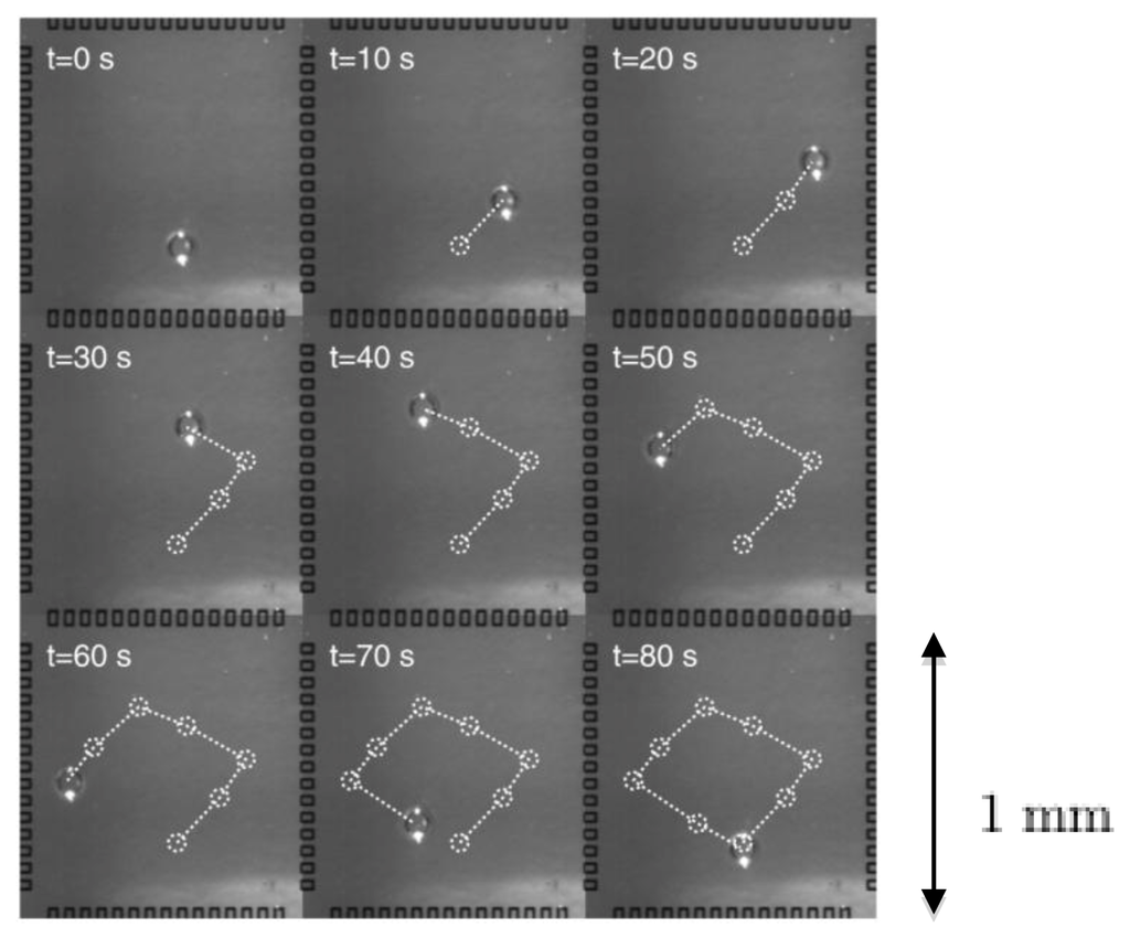 Diagnostics 03 00033 g018 1024