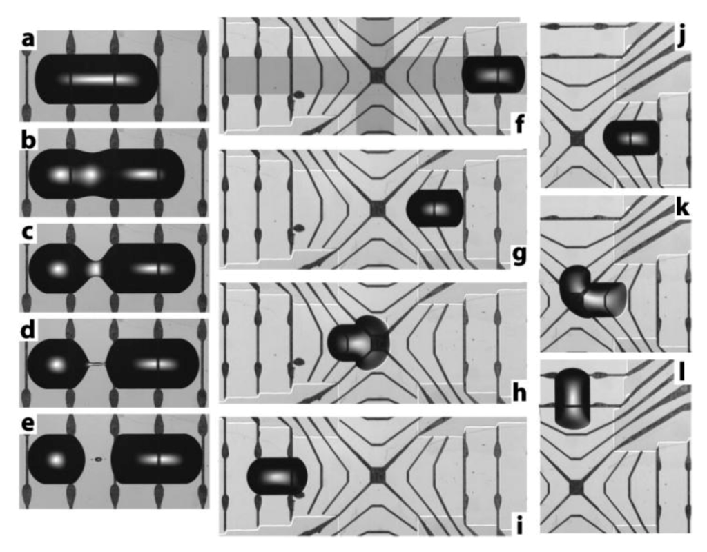 Diagnostics 03 00033 g019 1024