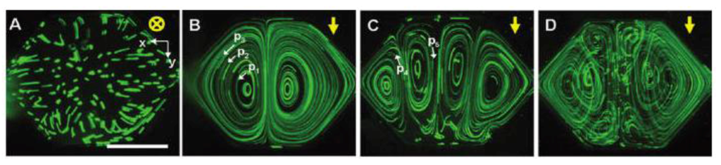 Diagnostics 03 00033 g024 1024
