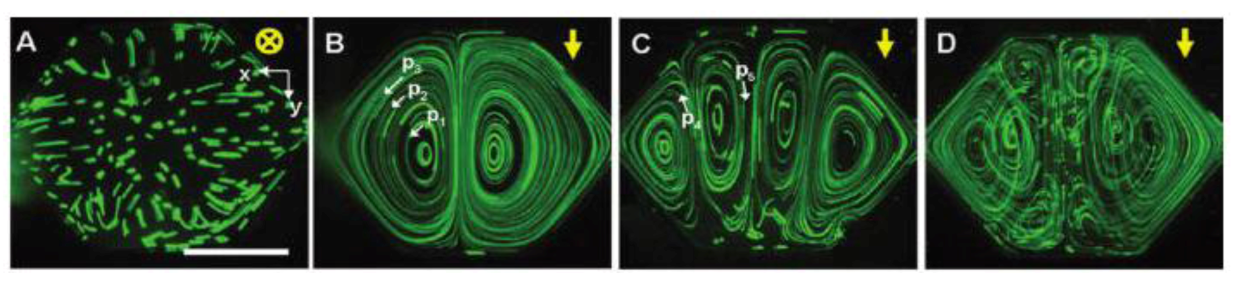 Diagnostics 03 00033 g024