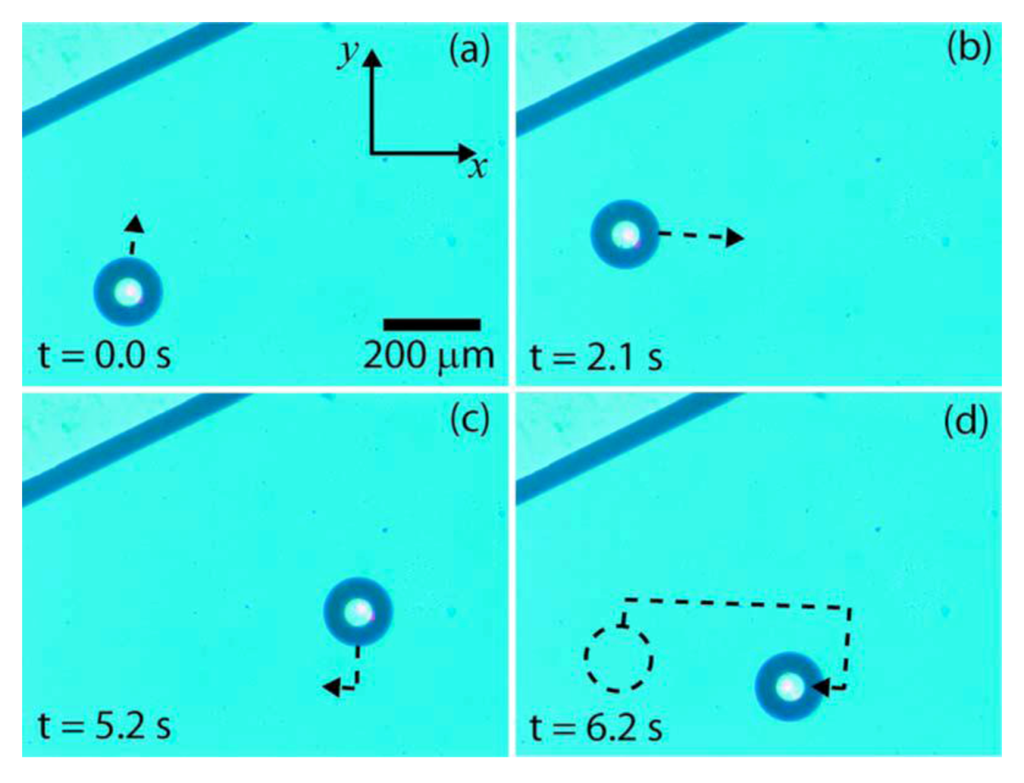 Diagnostics 03 00033 g031 1024