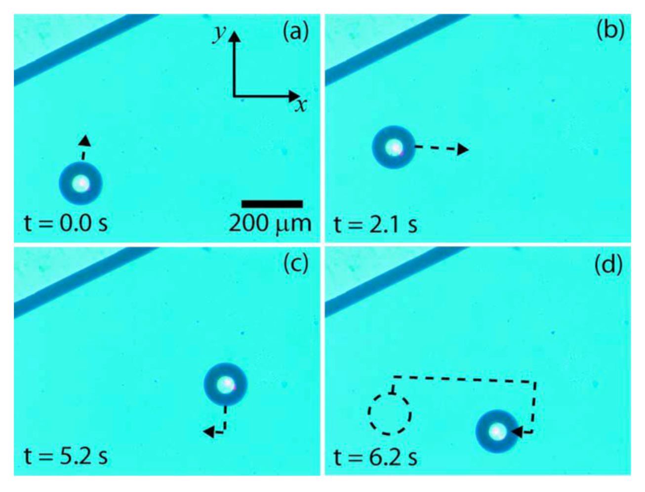 Diagnostics 03 00033 g031