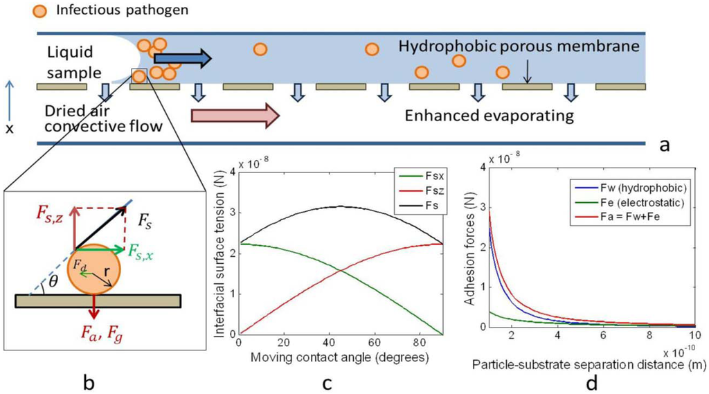Diagnostics 03 00155 g001 1024
