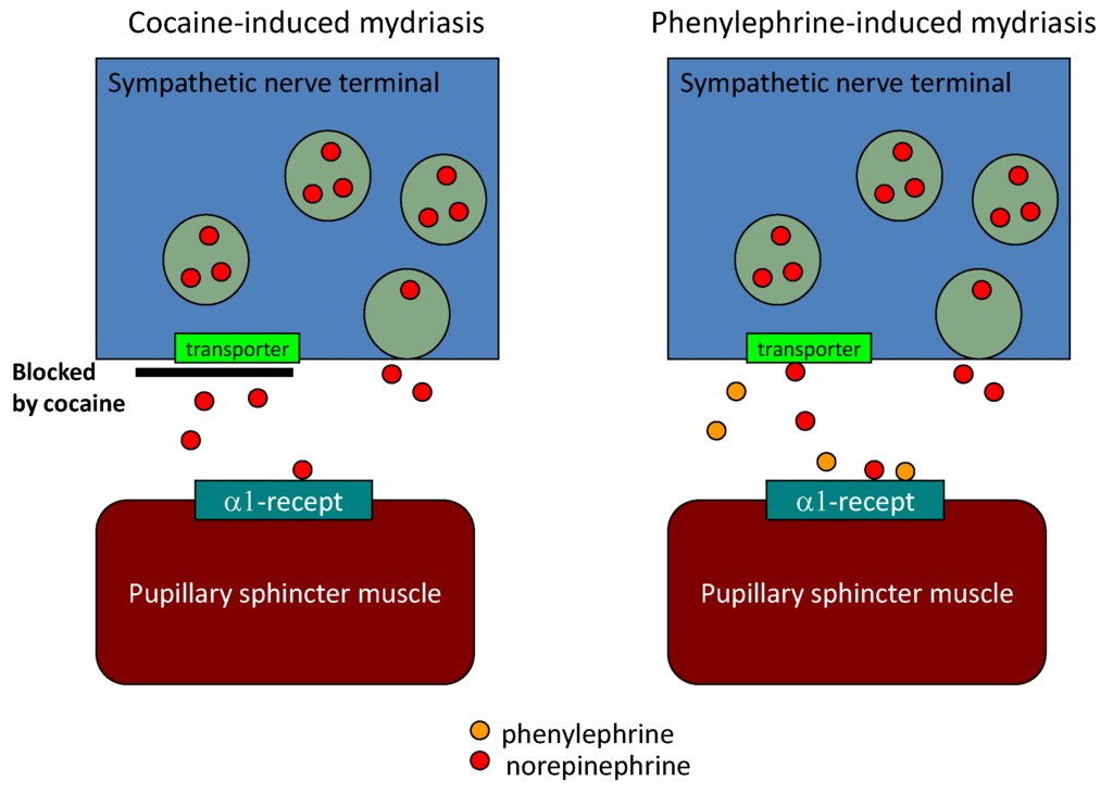 Diagnostics 03 00210 g003 1024