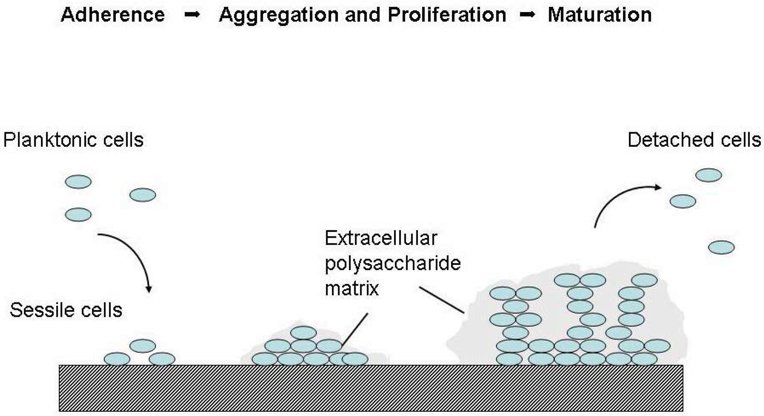 Diagnostics 03 00356 g001