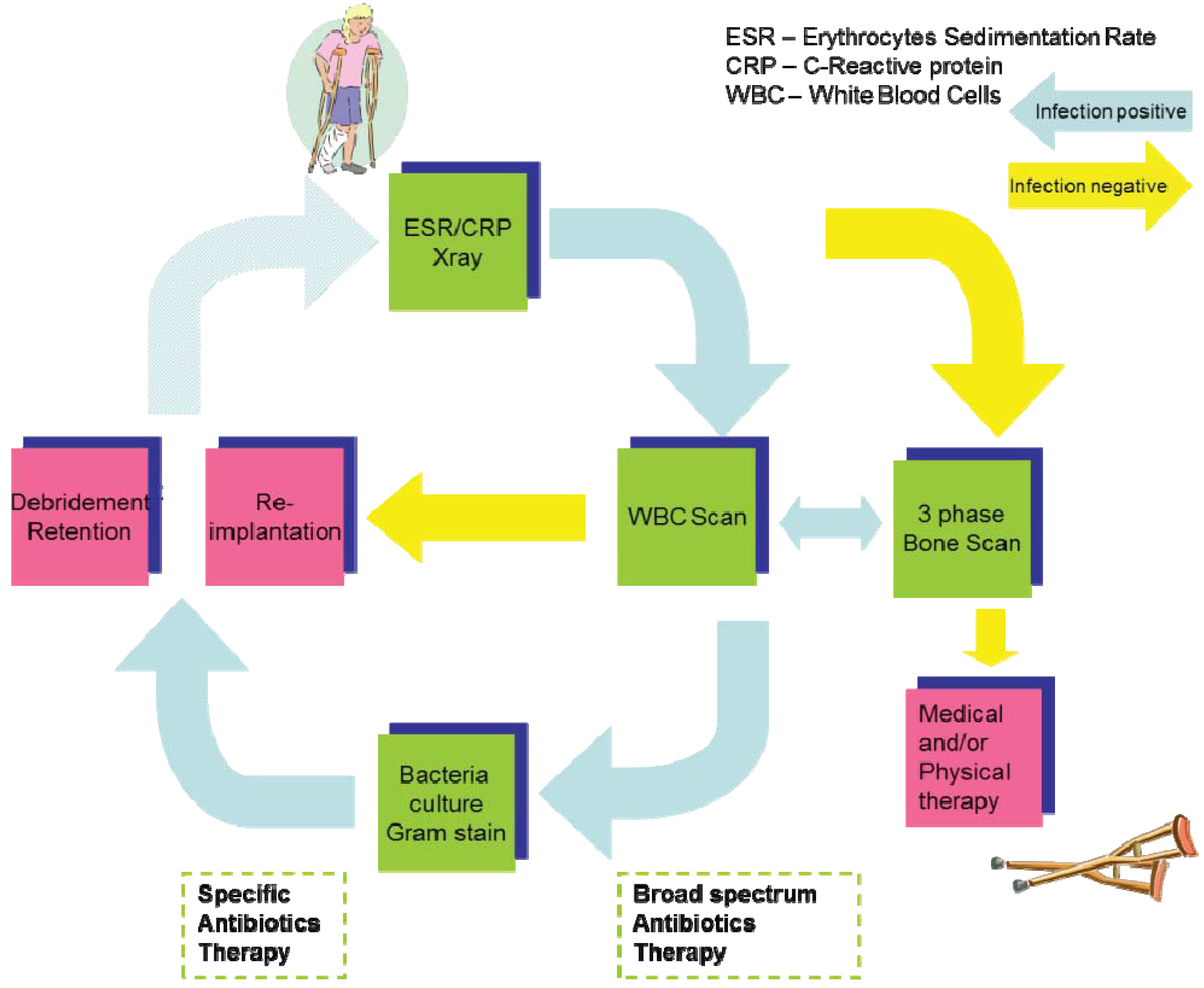 Diagnostics 03 00356 g002