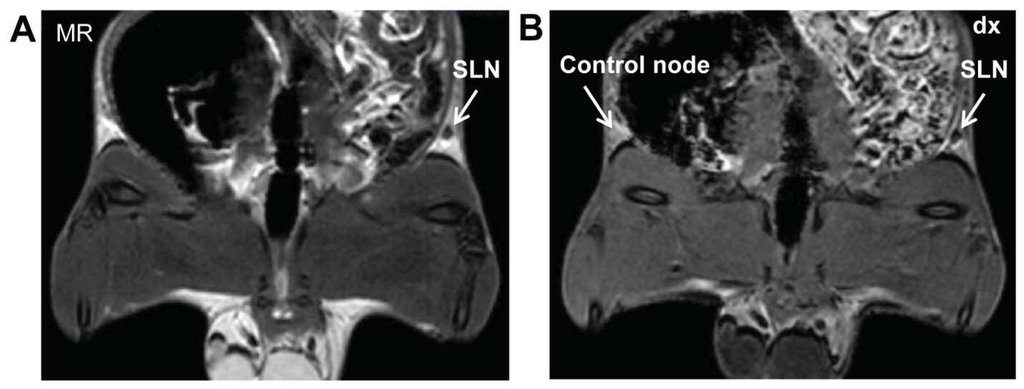 Diagnostics 04 00013 g002 1024