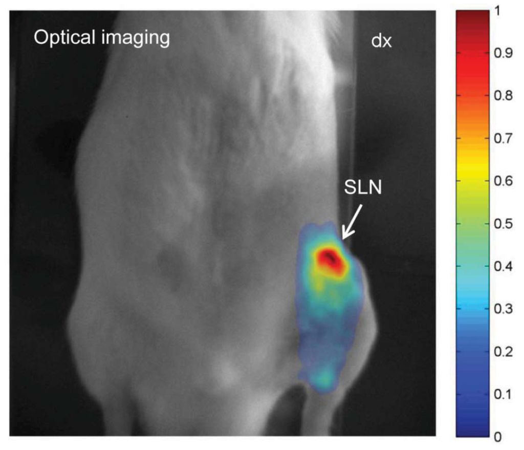 Diagnostics 04 00013 g004 1024