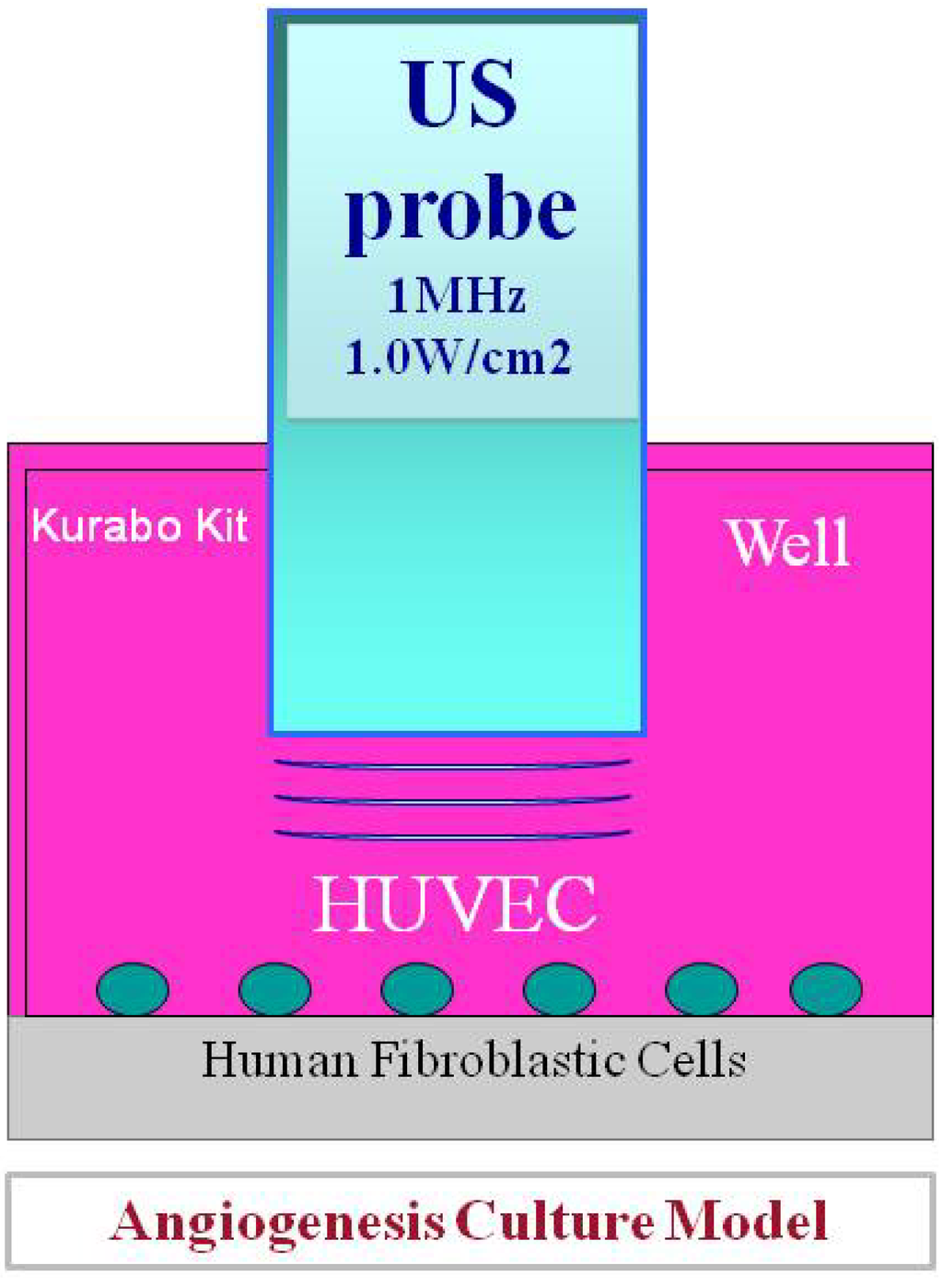 Diagnostics 04 00047 g001 1024