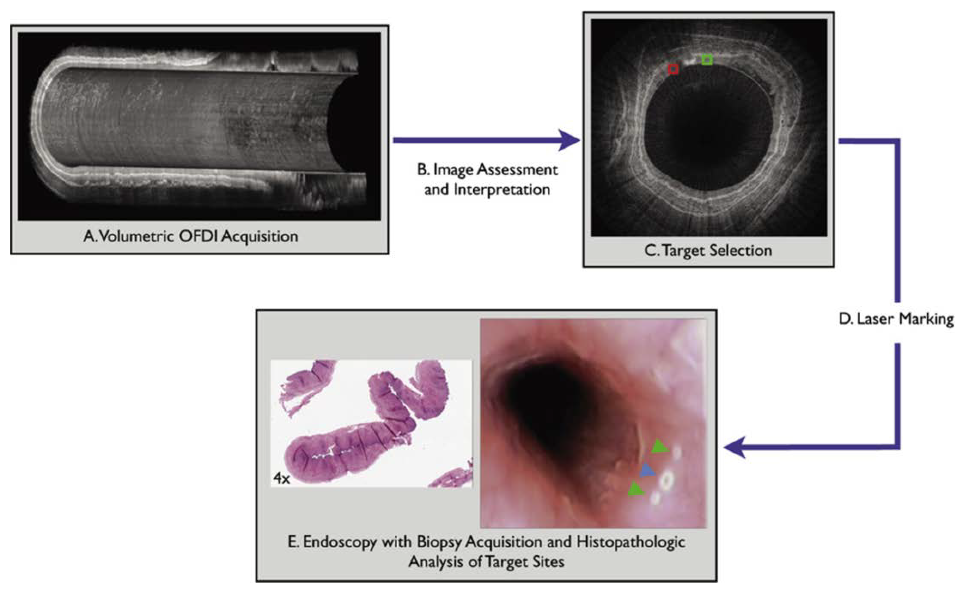 Diagnostics 04 00057 g005