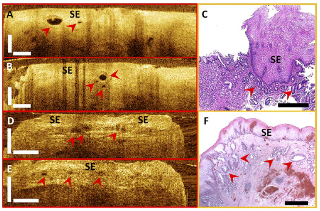 Diagnostics 04 00057 g007 1024