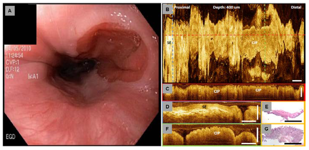 Diagnostics 04 00057 g009 1024