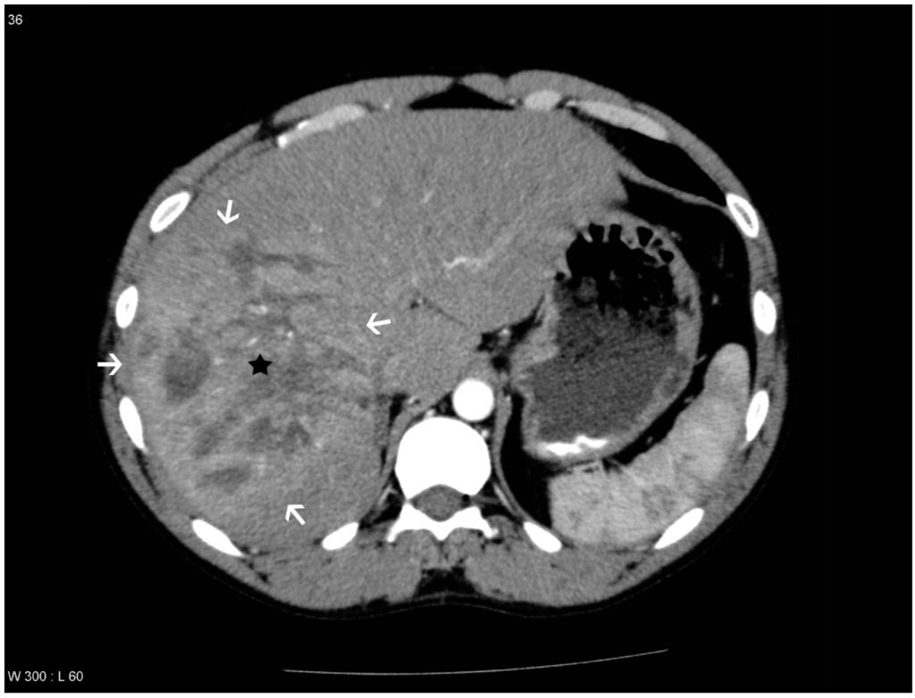 Diagnostics 04 00129 g002 1024