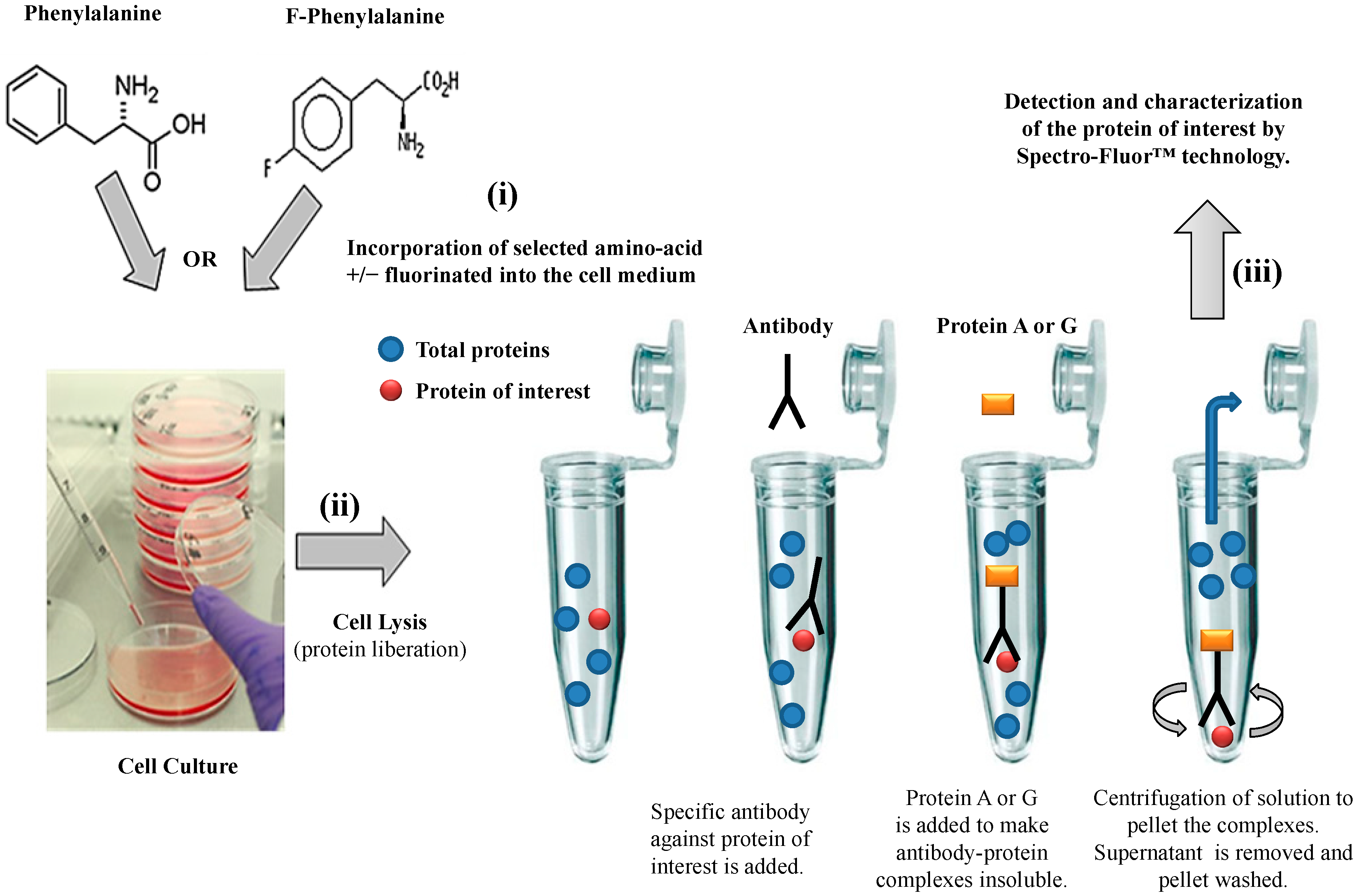 Diagnostics 04 00140 g002