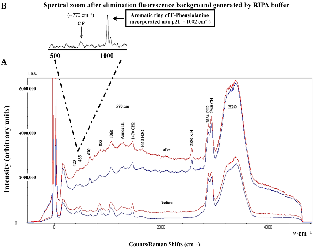 Diagnostics 04 00140 g004 1024