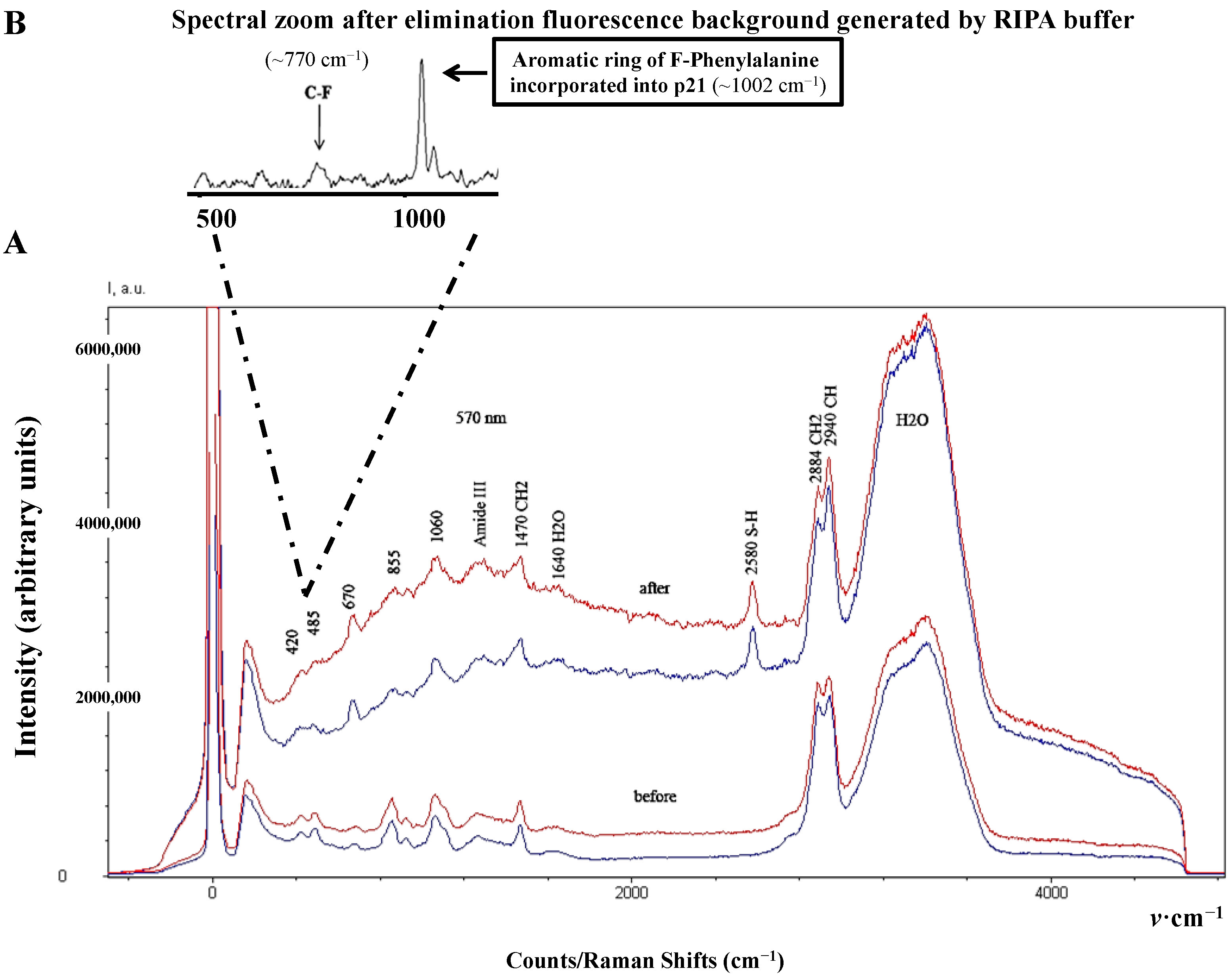 Diagnostics 04 00140 g004