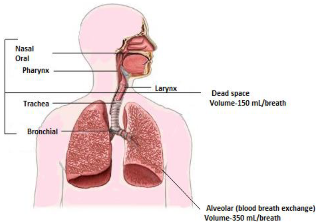 Diagnostics 05 00027 g002 1024