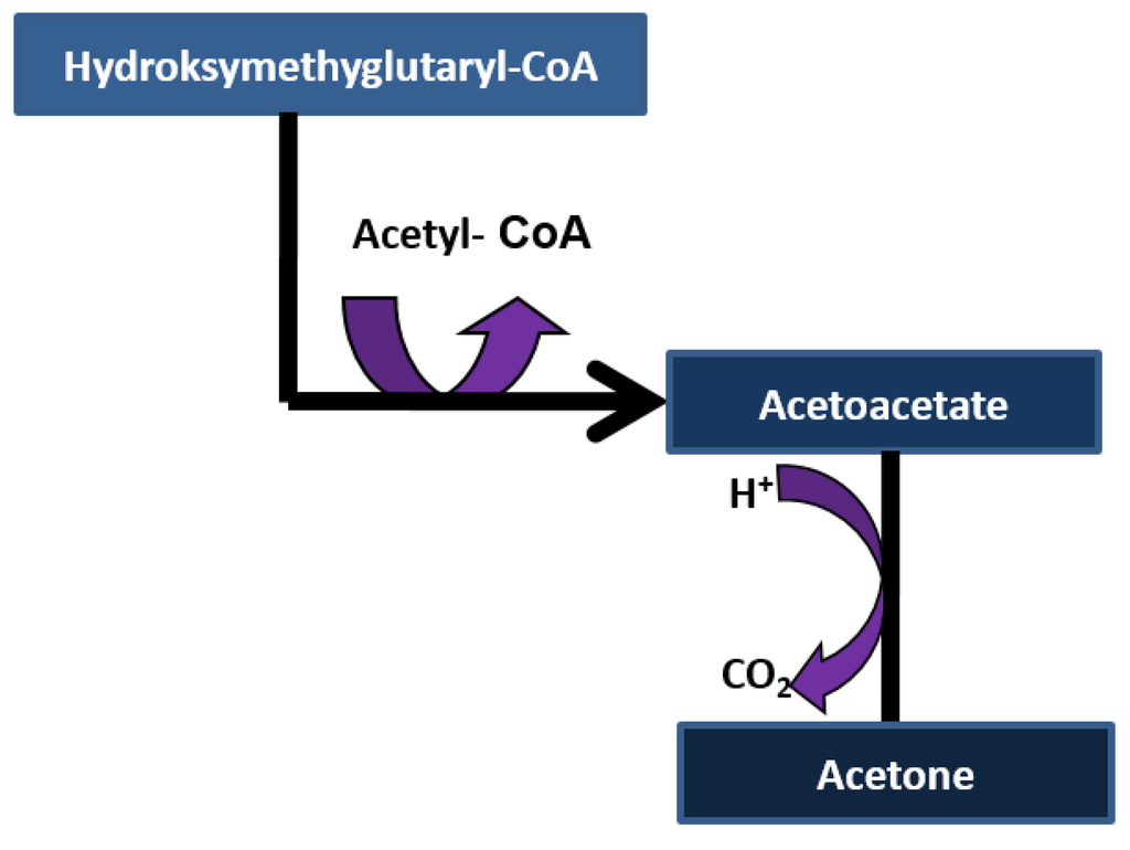 Diagnostics 05 00027 g004 1024