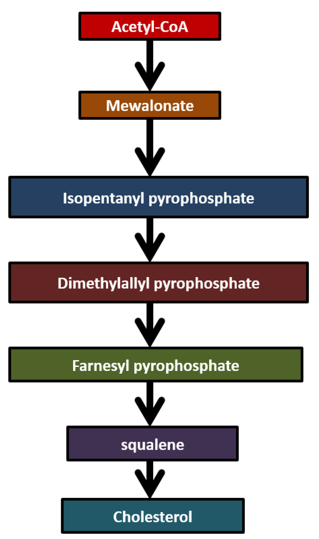 Diagnostics 05 00027 g005 1024